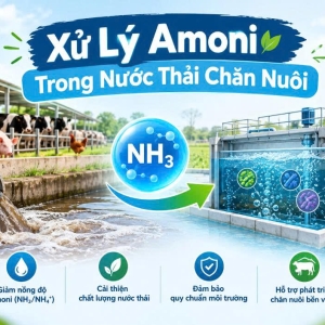 xu-ly-amoni-trong-nuoc-thai-chan-nuoi